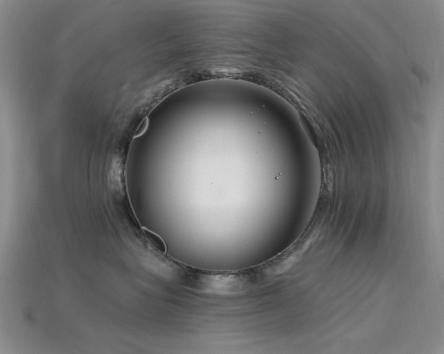 X0000115810575200911131423