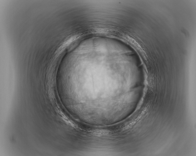 X0000115810577200911131422