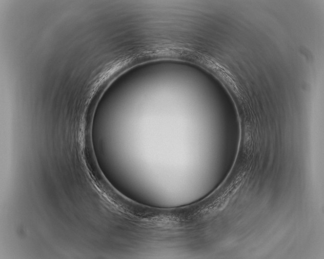 X0000115810578200911131422