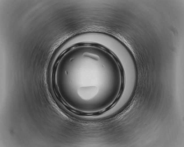X0000115810581200911131422