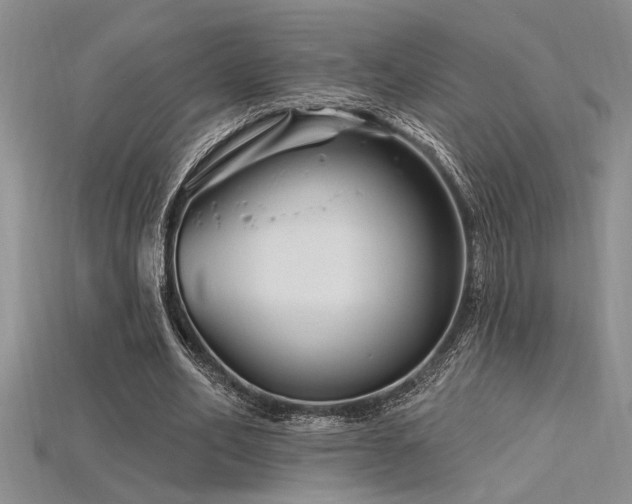 X0000115810582200911131422