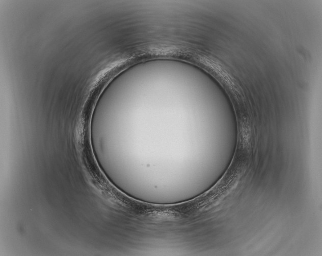 X0000115810583200911131422