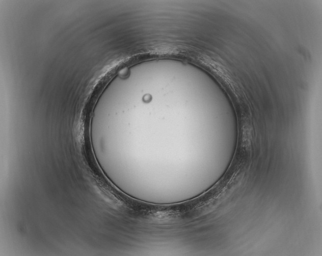 X0000115810584200911131422