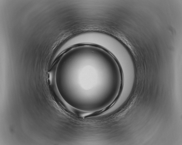 X0000115810585200911131422