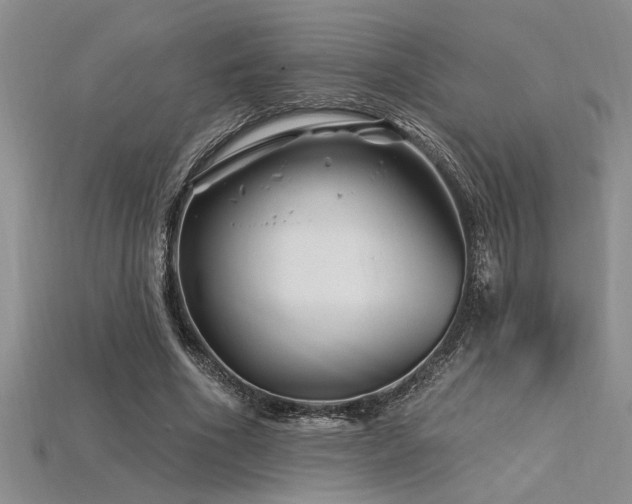 X0000115810586200911131422