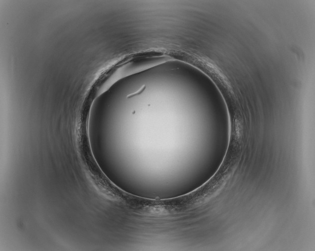 X0000115810588200911131422