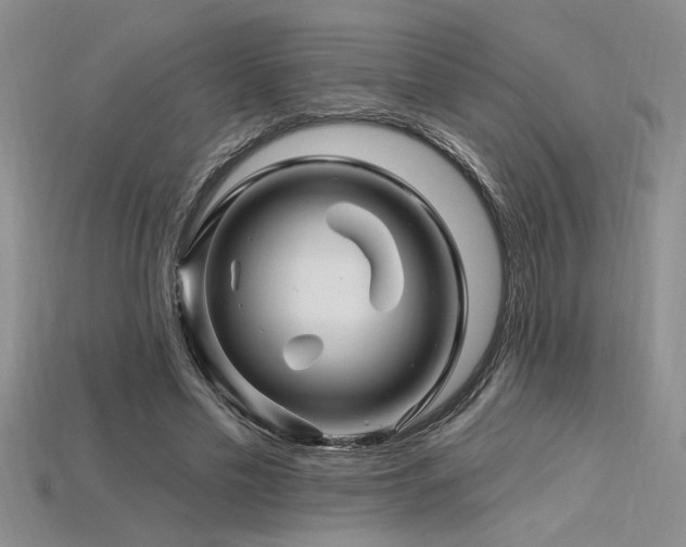 X0000115810589200911131422