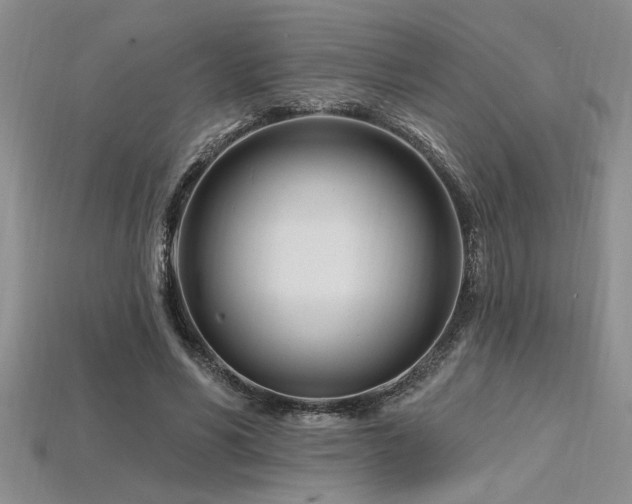 X0000115810590200911131422