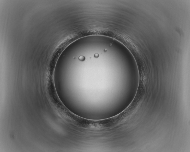 X0000115810591200911131422