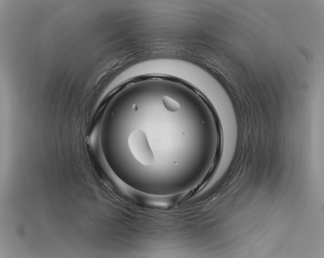 X0000115810595200911131422
