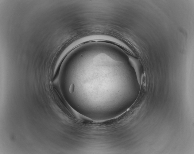 X0000115810597200911131422