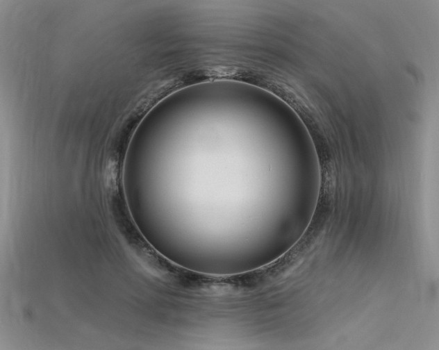 X0000115810598200911131422