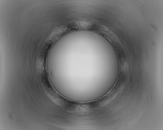 X0000115810599200911131422