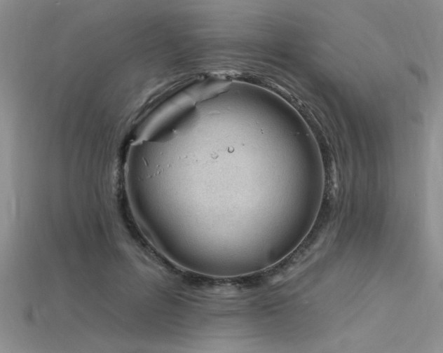 X0000115810600200911131422