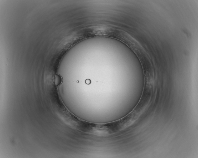 X0000115810603200911131422