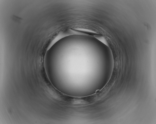 X0000115810605200911131422