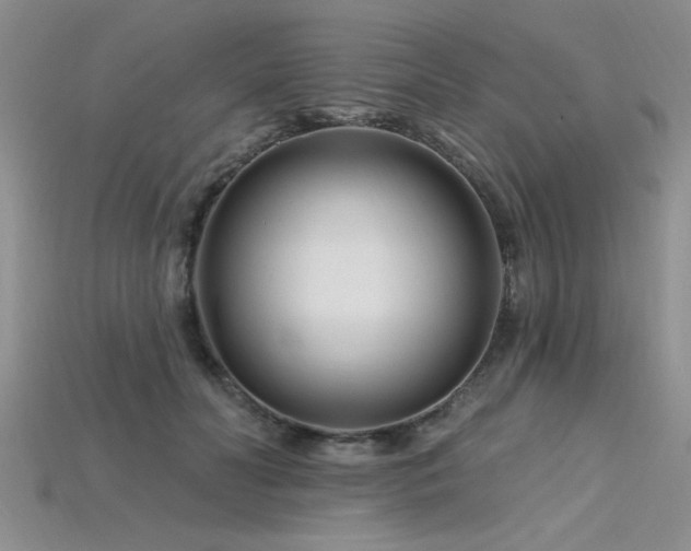 X0000115810606200911131422