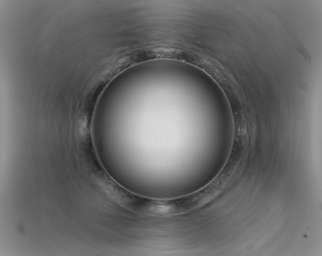 X0000115810610200911131422