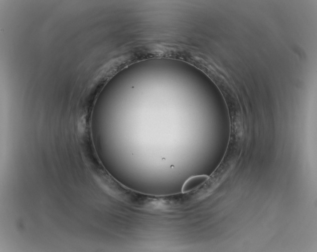 X0000115810611200911131422