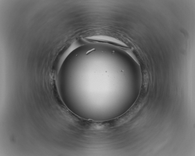 X0000115810613200911131422