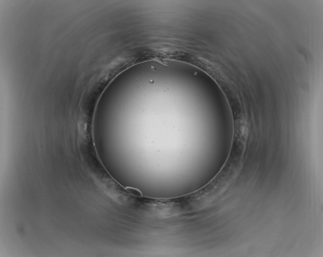 X0000115810615200911131422