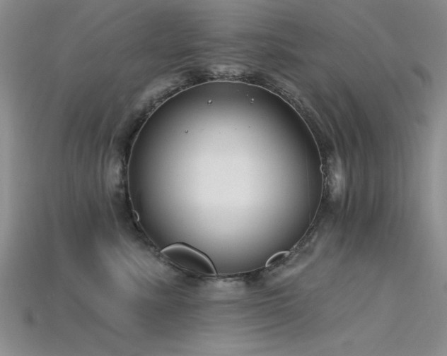 X0000115810619200911131422