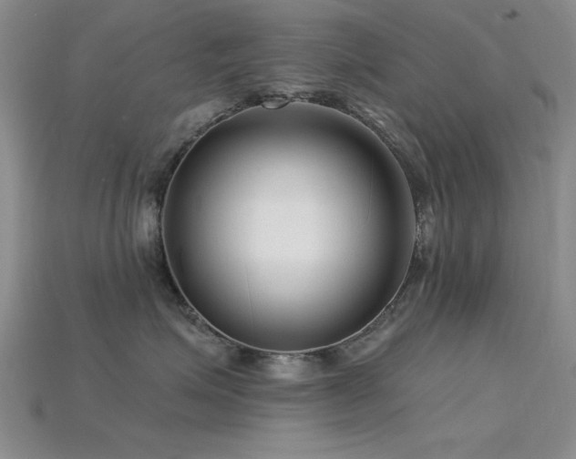 X0000115810623200911131422