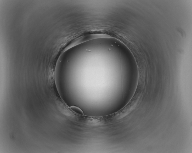 X0000115810624200911131421