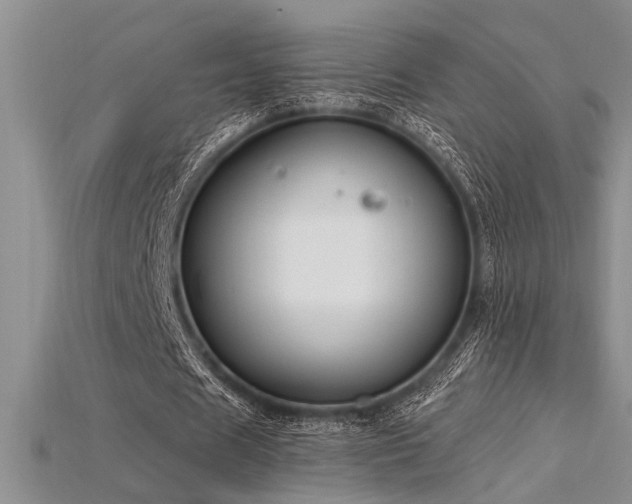 X0000115810625200911131421