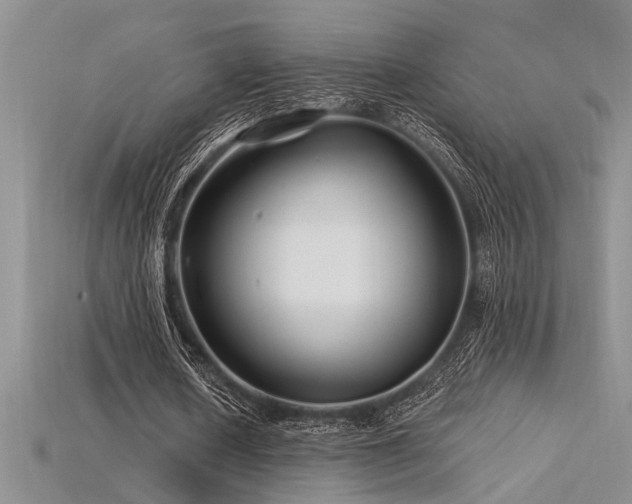 X0000115810626200911131421