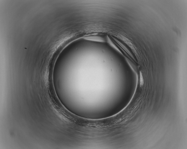 X0000115810627200911131421