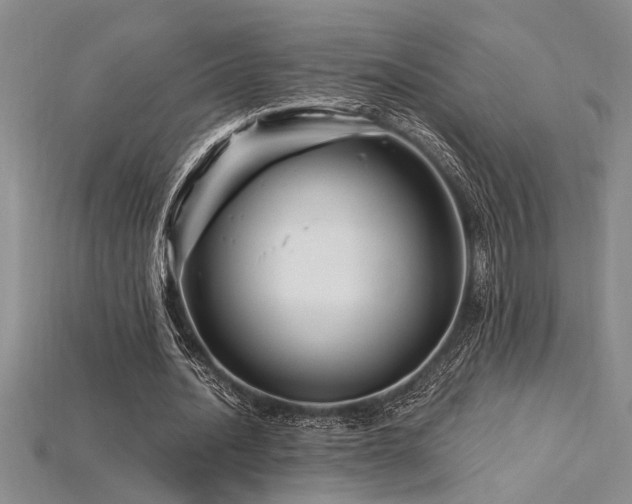 X0000115810628200911131421