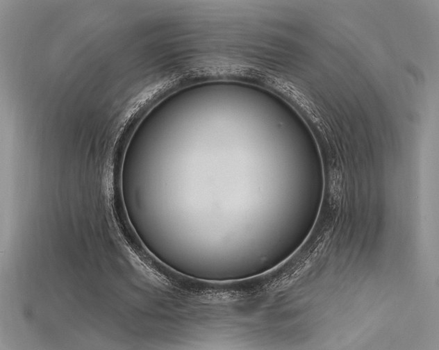 X0000115810629200911131421