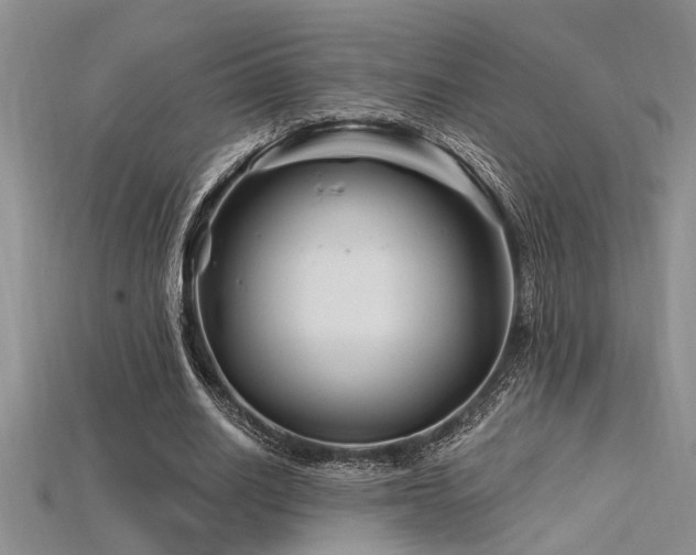 X0000115810630200911131421