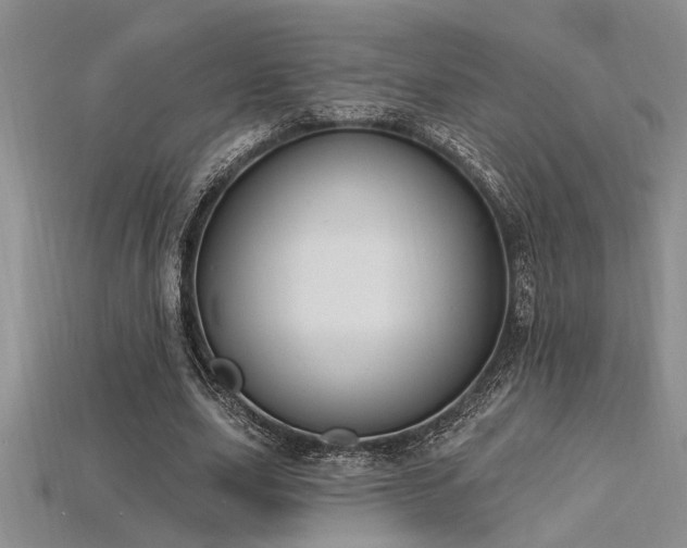 X0000115810631200911131421