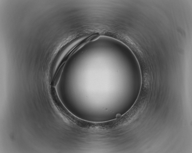 X0000115810634200911131421