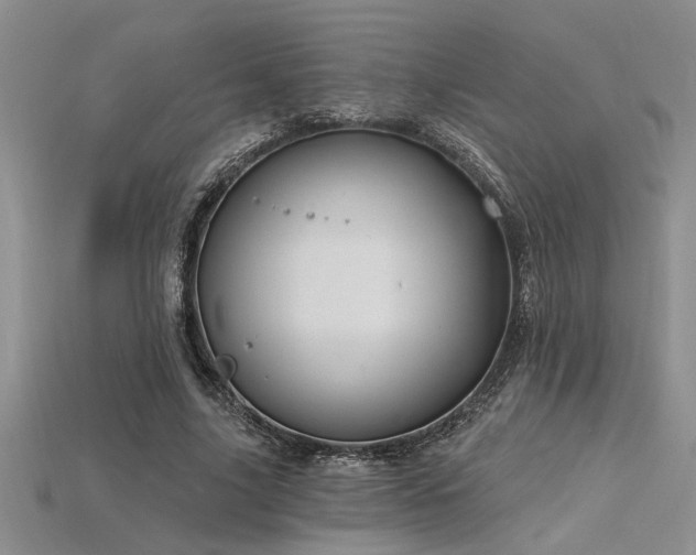 X0000115810635200911131421