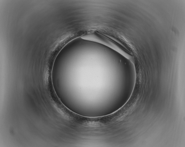X0000115810637200911131421