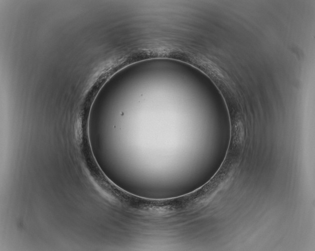 X0000115810638200911131421