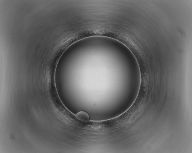 X0000115810639200911131421