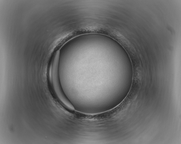 X0000115810640200911131421