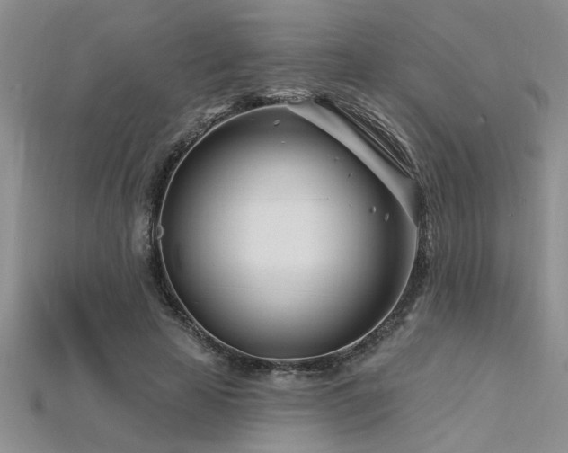 X0000115810641200911131421