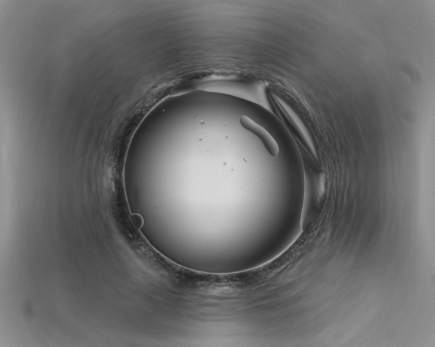 X0000115810643200911131421
