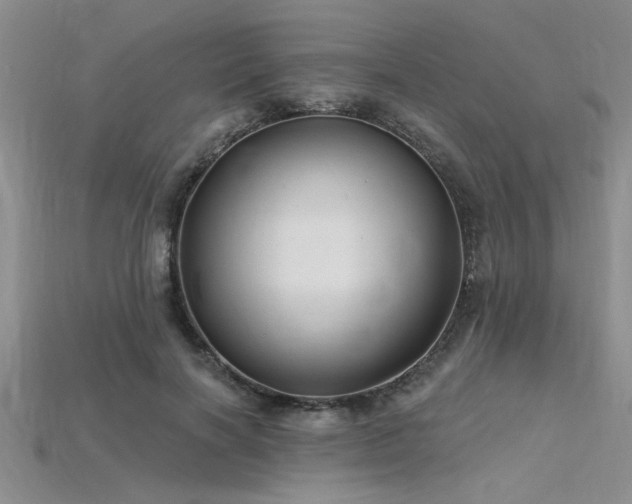 X0000115810646200911131421