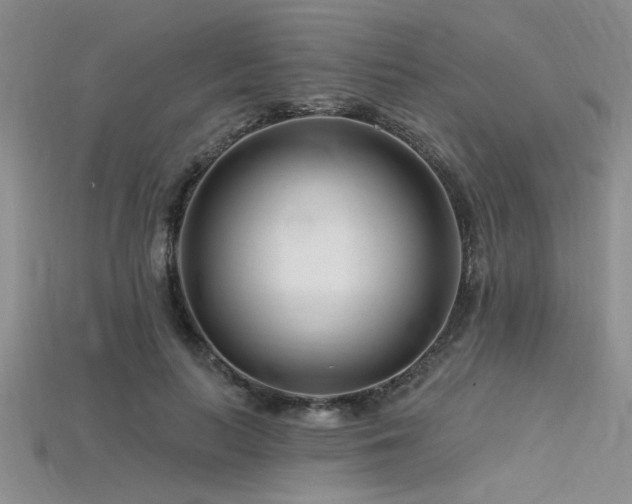 X0000115810647200911131421