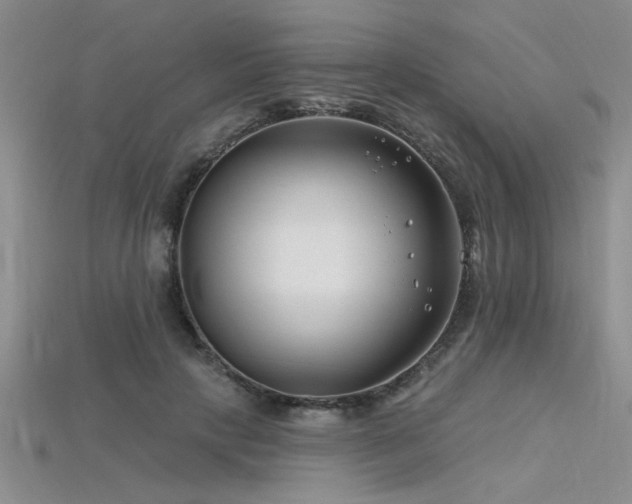 X0000115810649200911131421