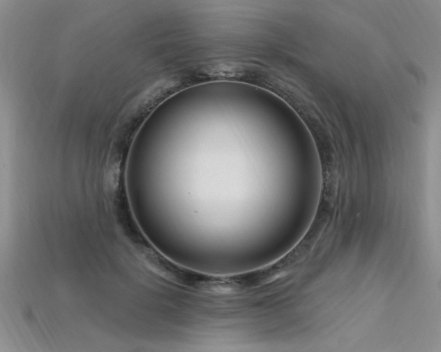 X0000115810652200911131421