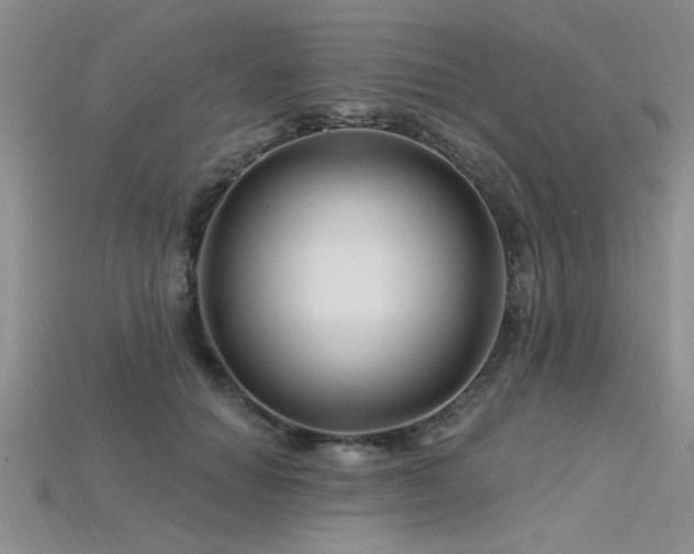 X0000115810654200911131421