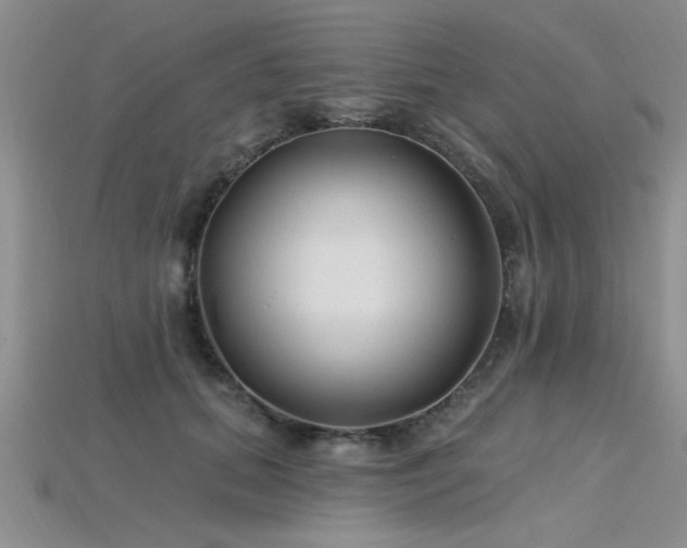 X0000115810655200911131421