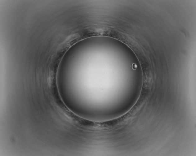X0000115810656200911131421